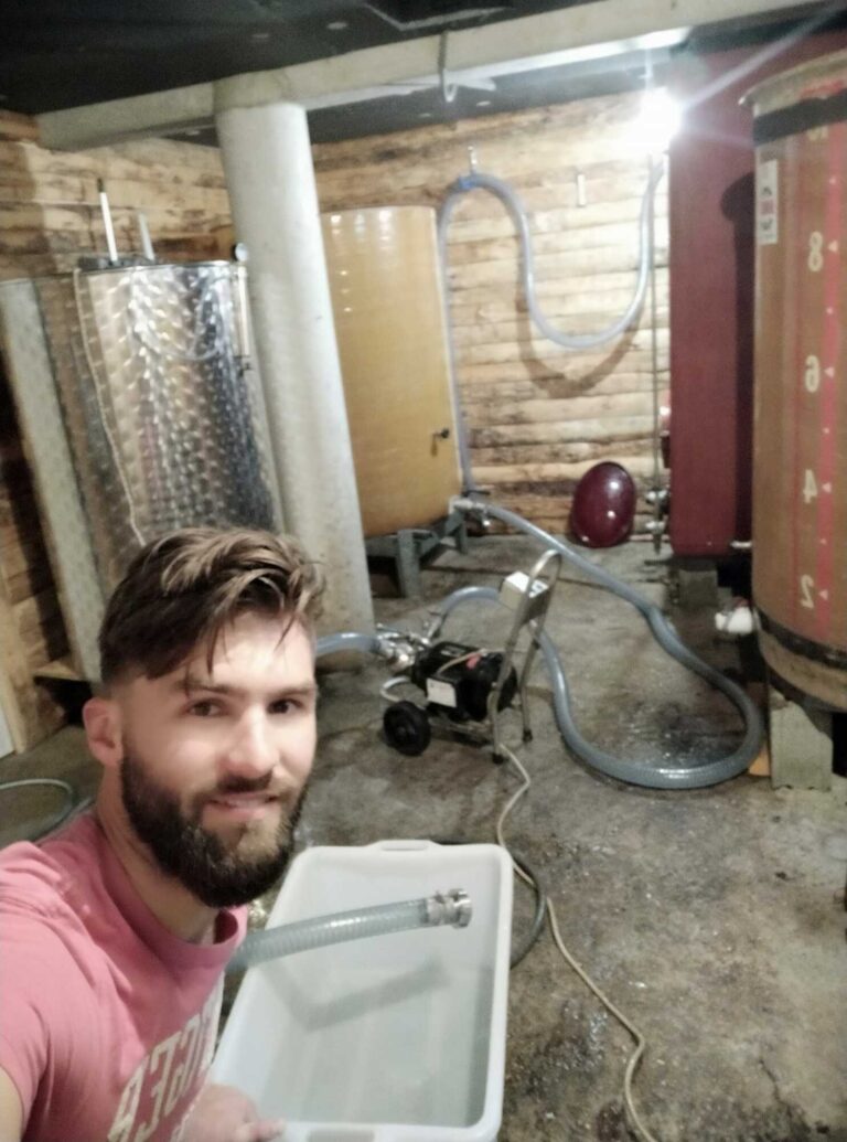 Vins du Bugey : travail de vinification à La Cave de Corentin, Saint-Martin-du-Mont
