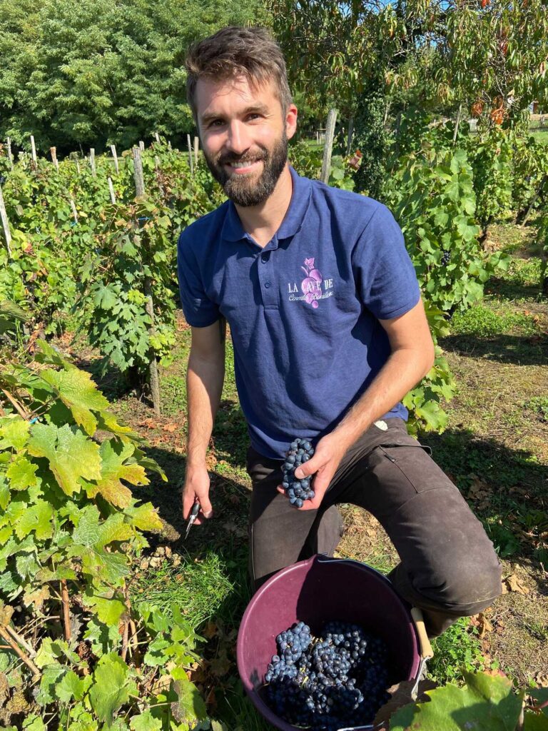 Vigneron indépendant dans l’Ain – La Cave de Corentin